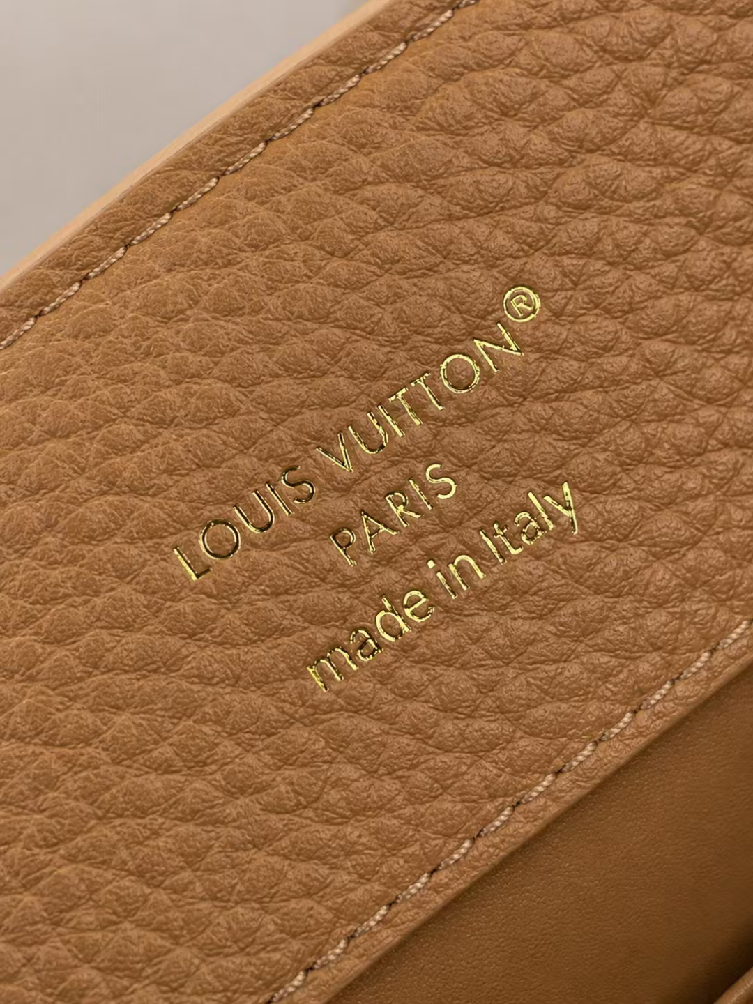 Louis Vuitton Capucines Handbag