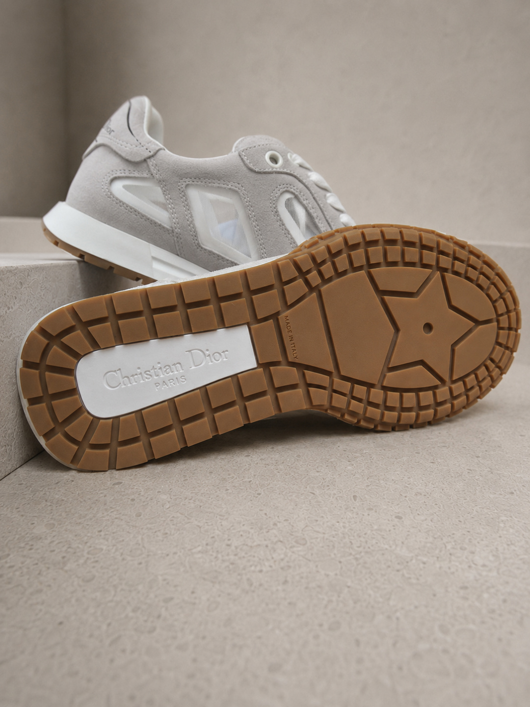 Dior Mesh Suede Low-top Sneakers
