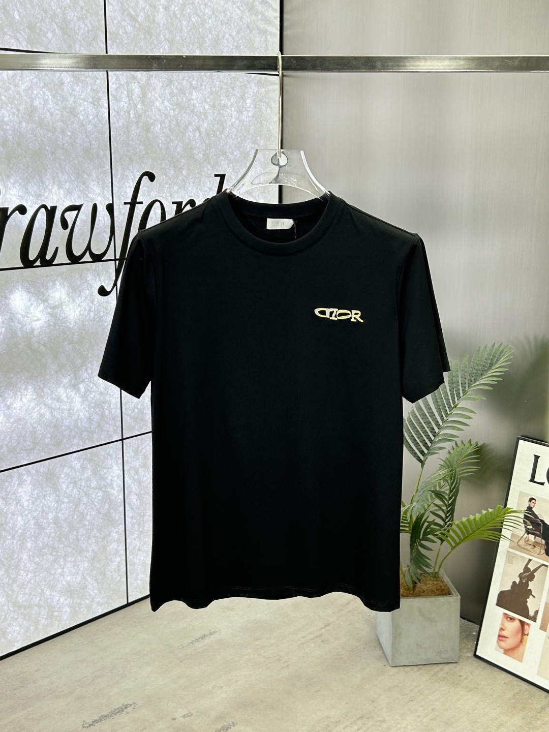 Dior 25SS Crew Neck Short Sleeve T-Shirt with Brand Print - Classic & Casual