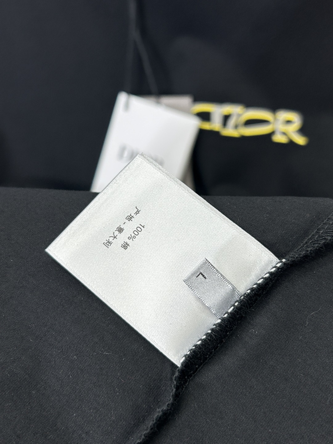 Dior 25SS Crew Neck Short Sleeve T-Shirt with Brand Print - Classic & Casual 9 cmp i1743197548007 4186 0 7