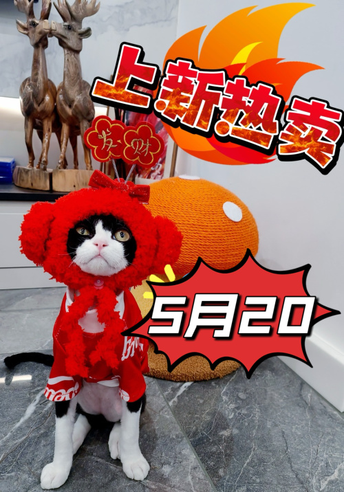 Cute Pet Costume for Cats - Warm & Stylish Outfit for Small Animals 1 Cute Pet Costume for Cats - Warm & Stylish Outfit for Small Animals