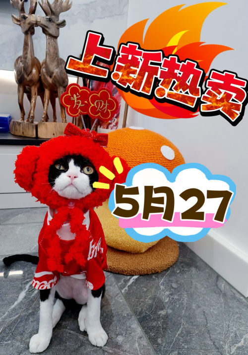 Cat Costume Pet Outfit-Comfortable Cat Apparel Hoodies, Cute Pet Costumes 1 Cat Costume Pet Outfit-Comfortable Cat Apparel Hoodies, Cute Pet Costumes