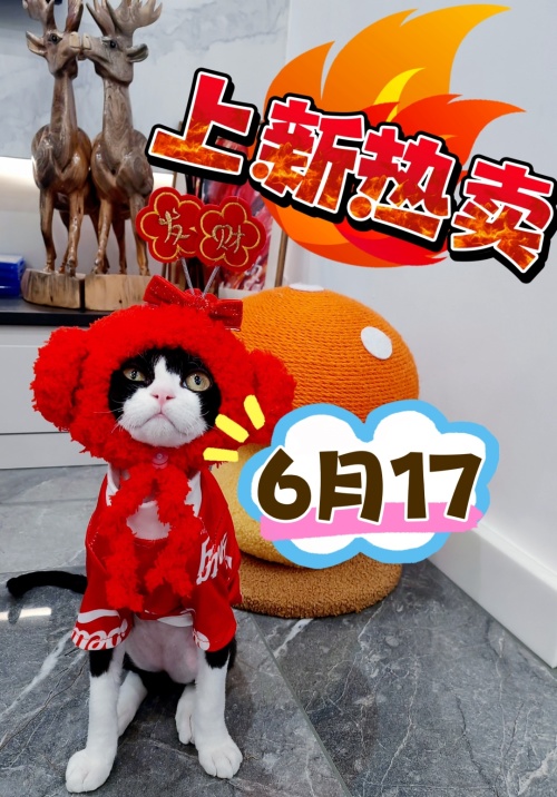 Red Cat Costume Set with Pom Pom Hat and Matching Clothes, Perfect for Dress-Up 1 Red Cat Costume Set with Pom Pom Hat and Matching Clothes, Perfect for Dress-Up