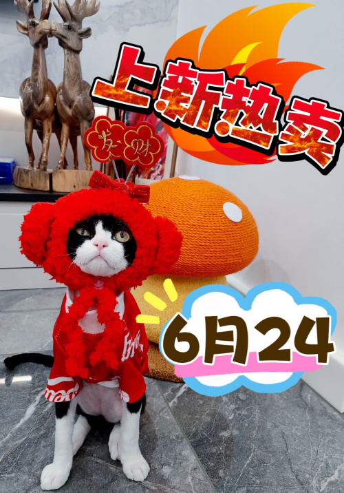 Adorable Cat Costume - Warm & Cozy Outfit for Your Feline Friend 1 Adorable Cat Costume - Warm & Cozy Outfit for Your Feline Friend