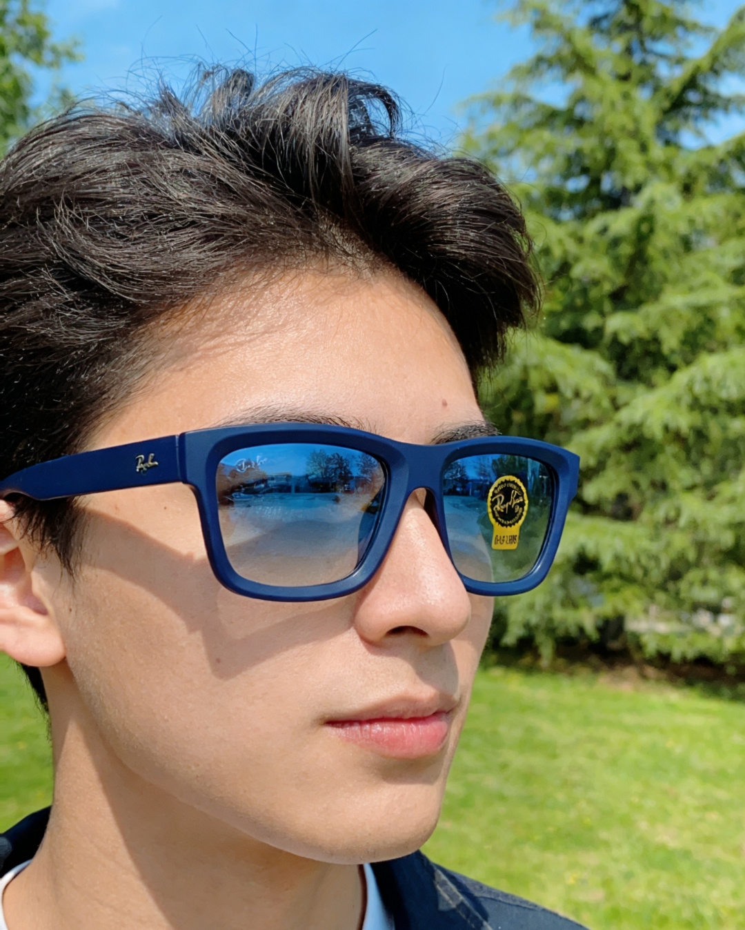 RayBan雷朋 高品质钢化玻璃太阳眼镜男士驾驶司机高清墨镜钓鱼防紫外线防强光眼镜 RB4396 Siz