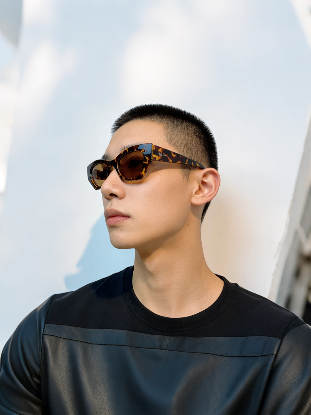 RayBan雷朋异形板材太阳镜眼镜男女同款款墨镜 RB4430F Size:50口23-145