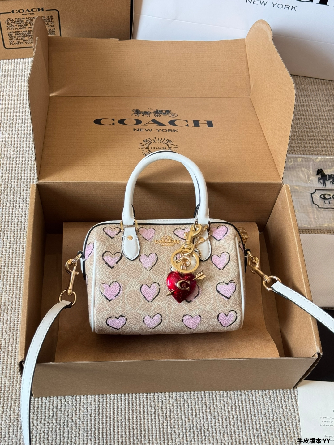 Versión en piel Coach | Mini Rowan nuevo modelo, original de Coach, bolso almohada. Herrajes YKK originales combinados …