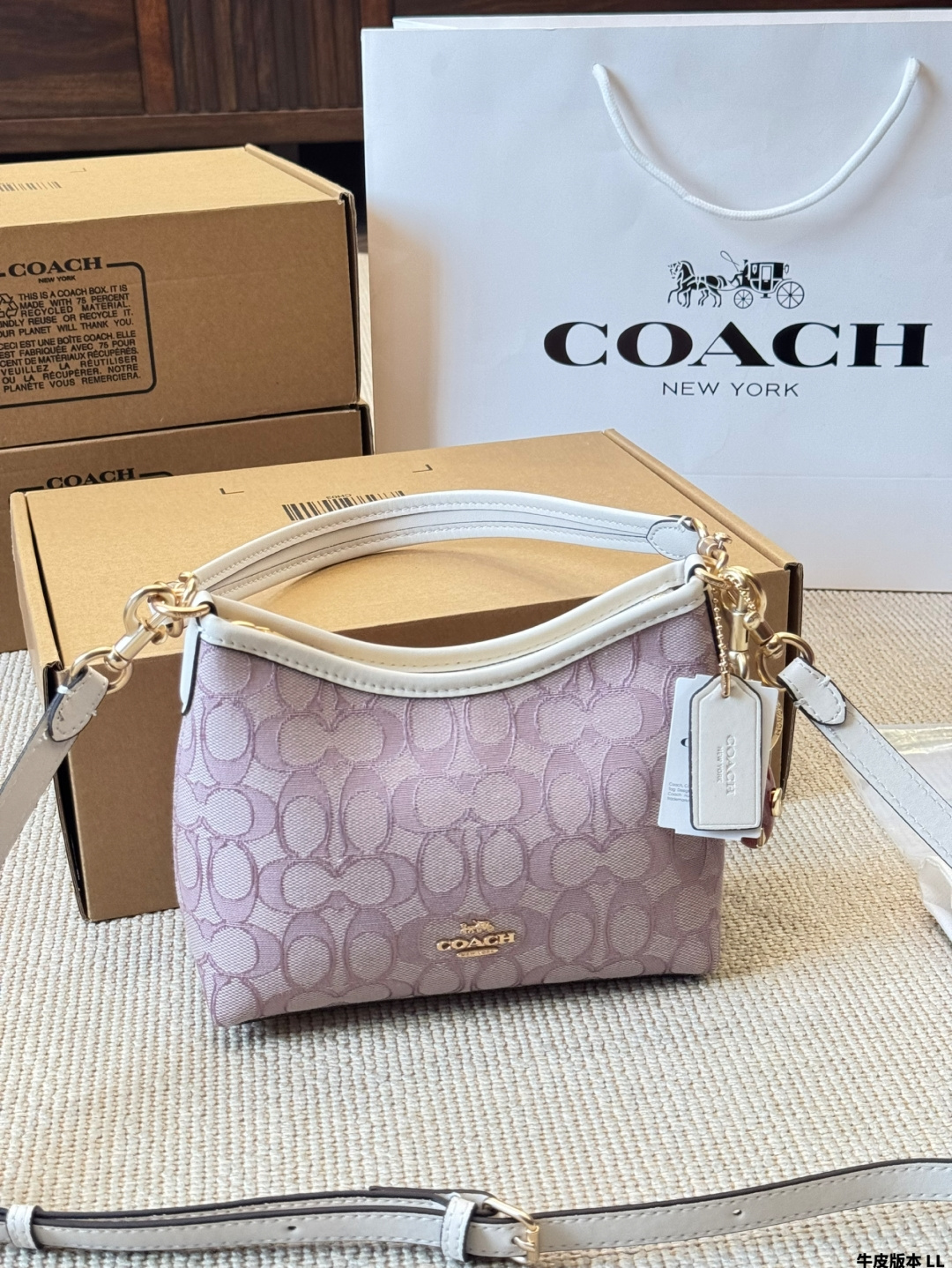 Versión en piel mini COACH | Laurel bolso vagabundo, el clásico bolso luna de Coach, con mayor capacidad que …