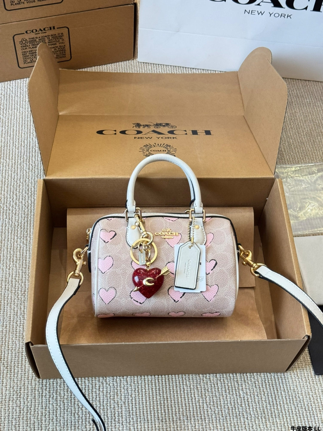 Versión en piel Coach | Mini Rowan nuevo modelo, original de Coach, bolso almohada, con herrajes YKK original…