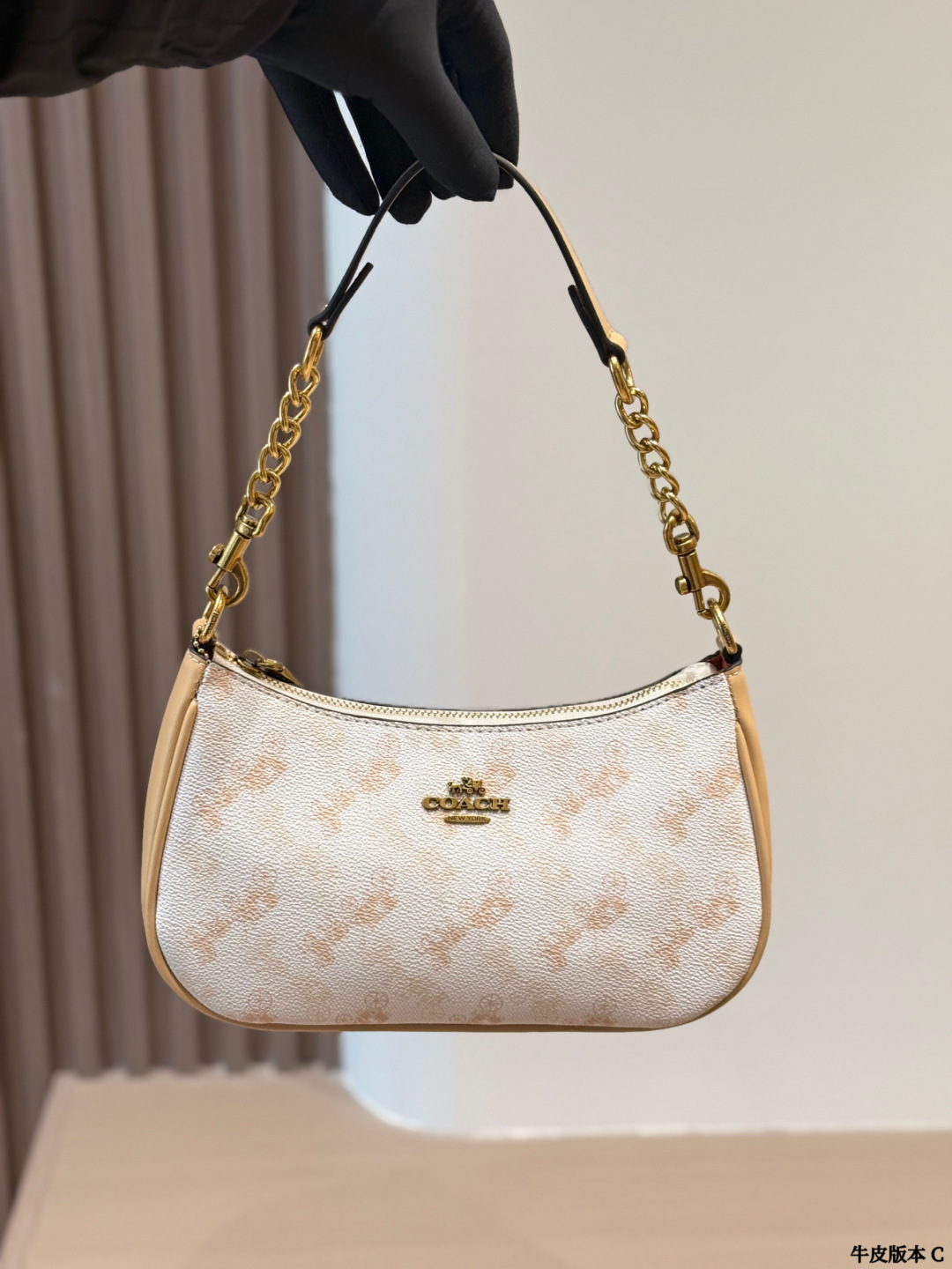 Cowhide Version P180 | Coach Teri Underarm Bag | Coach’s Hottest Underarm Bag Is Here | Teri Series’ Hottest Underarm Bag | The Upgraded Version Of The Hemp Bag, The Light Color Goes Well With Clothes | The Whole Is The Embodiment Of Temperament And Fashion Not Too Bulky And Good-looking | The Color Is Very Trendy And The Size Is Just Right Coach | Size 24 15cm