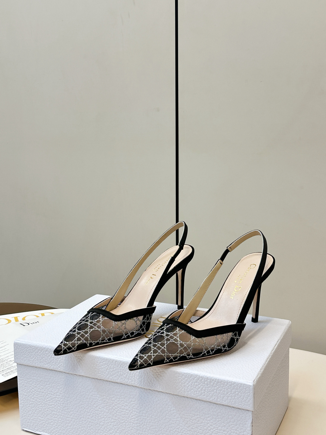Dior ​​Dior｜迪奥 图腾网纱高跟凉鞋