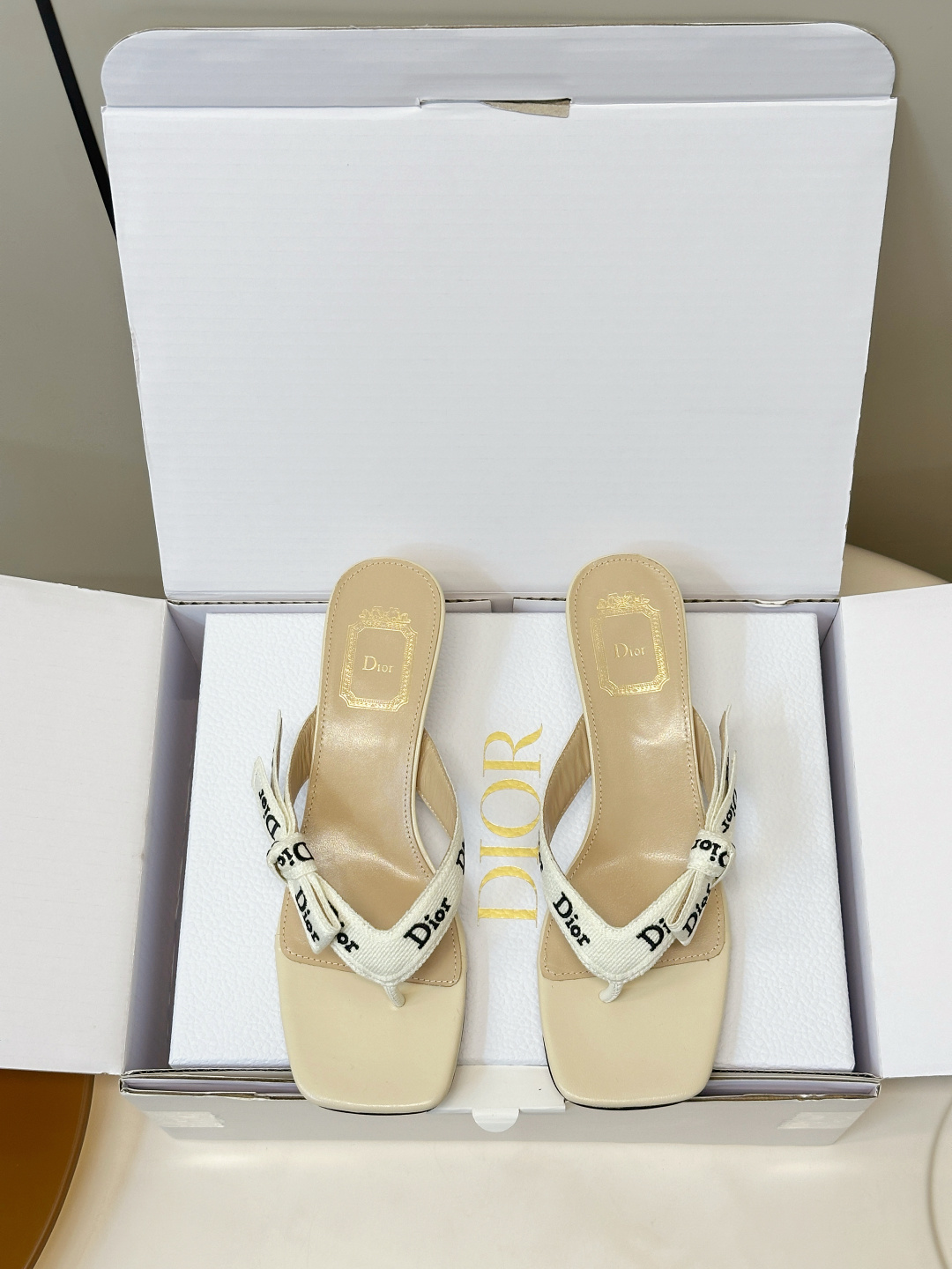 Dior Slides