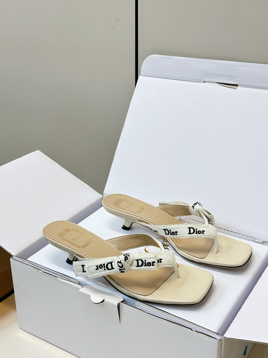 Dior Slides