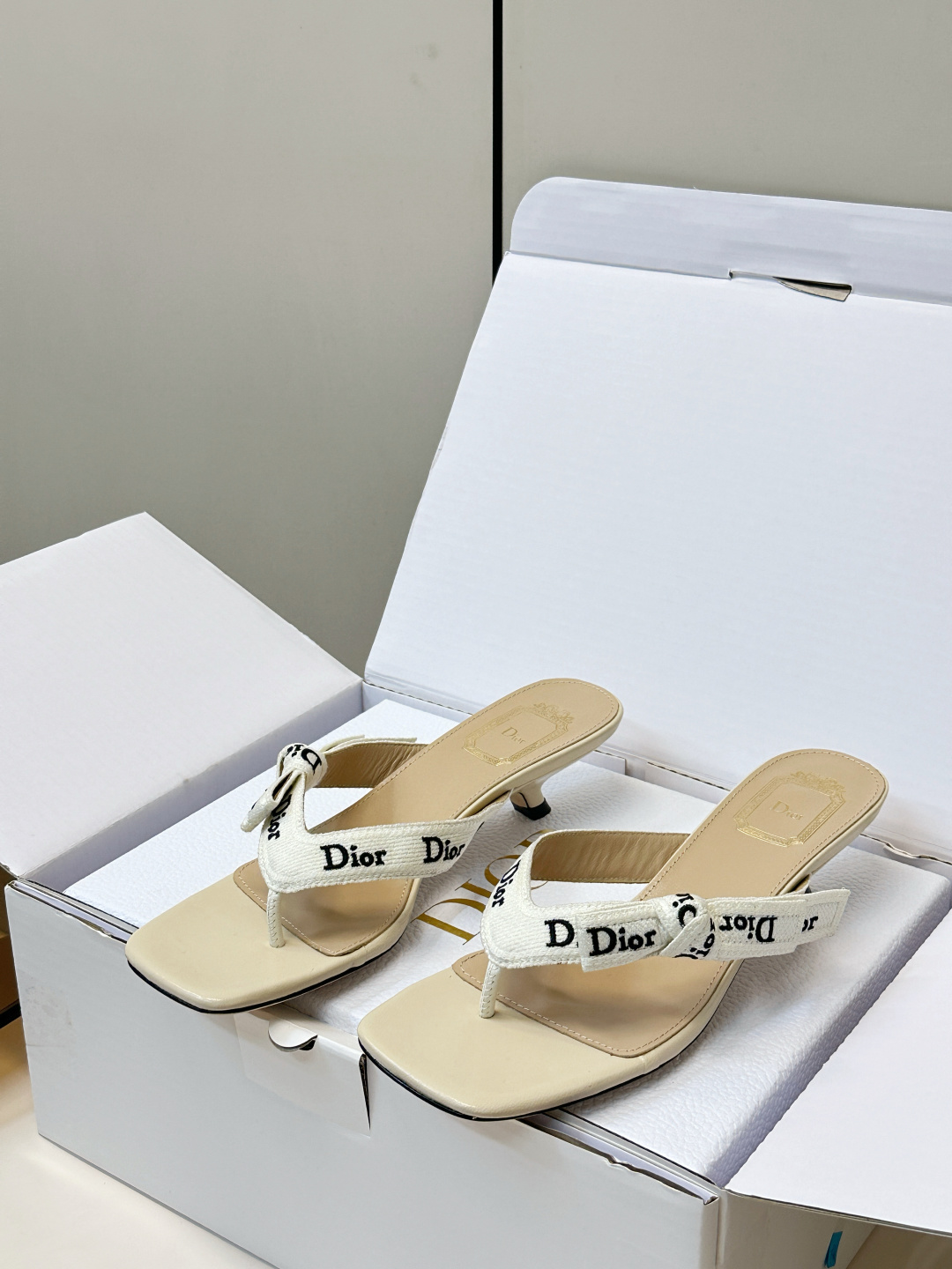 Dior Slides