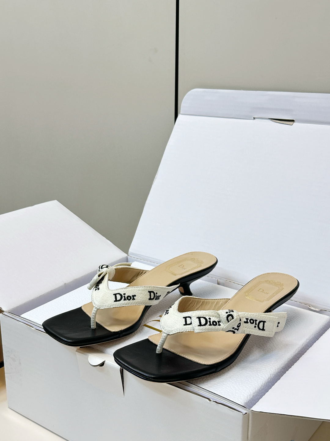 Dior Slides