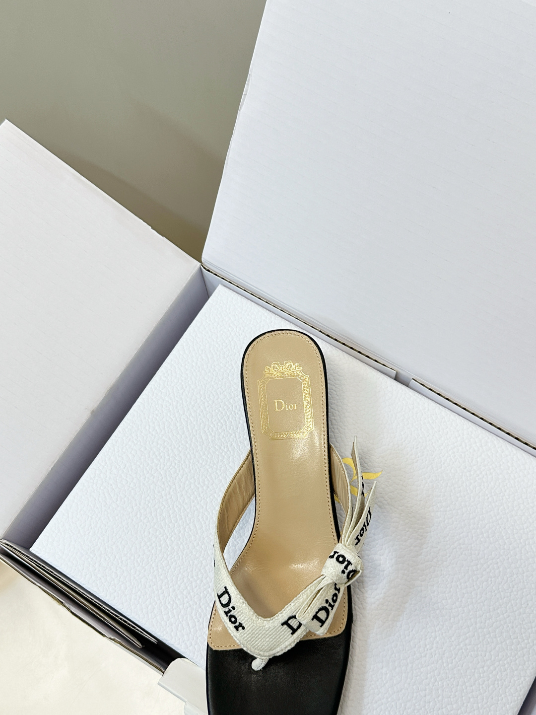 Dior Slides