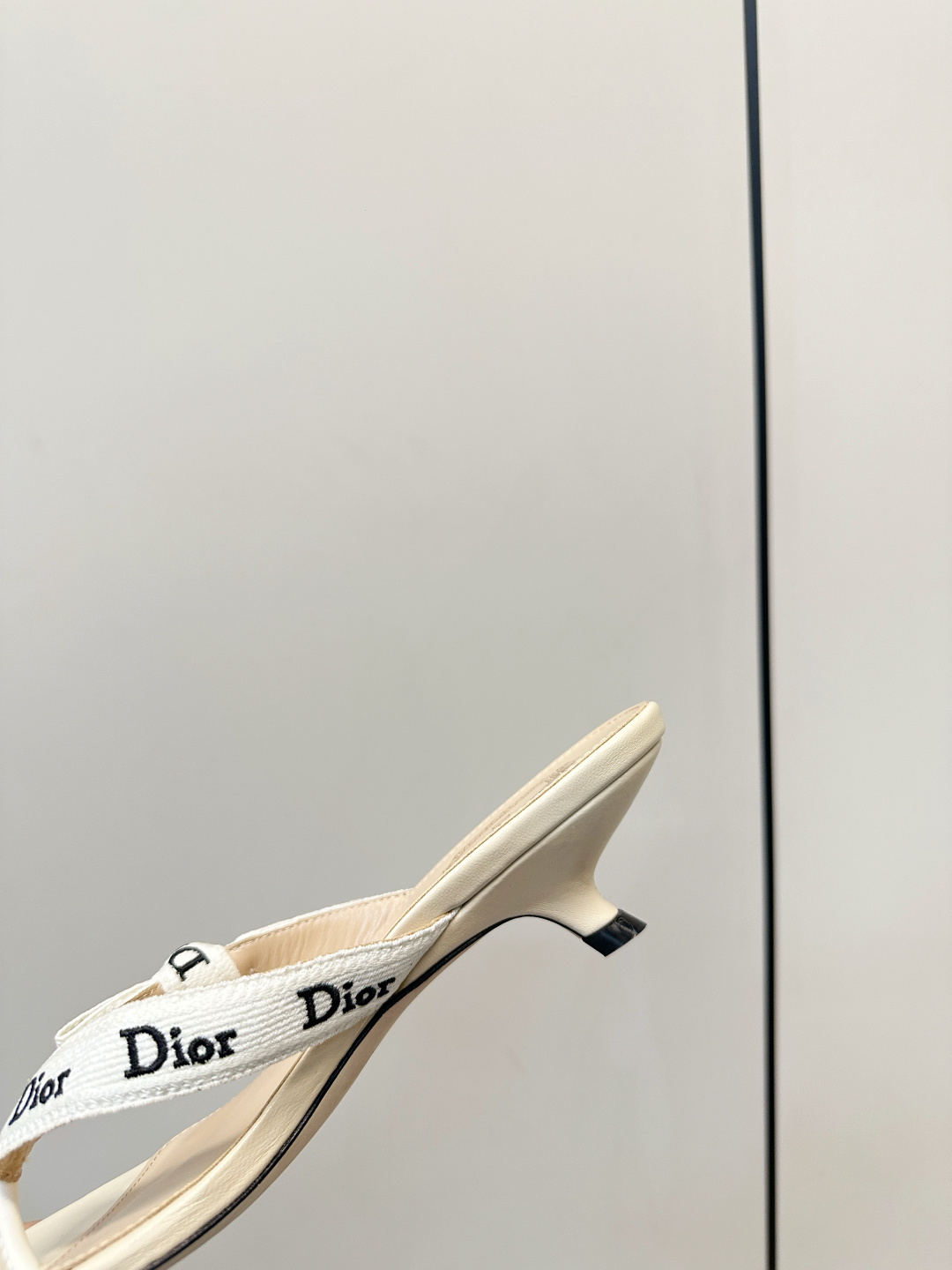 Dior Slides