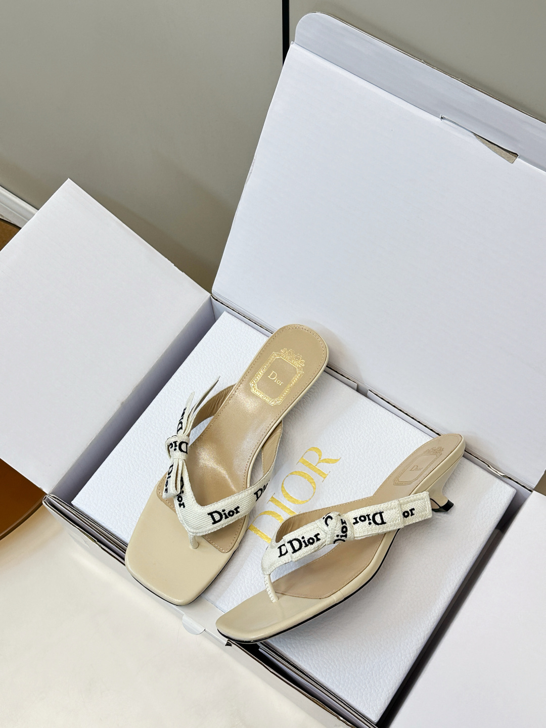Dior Slides