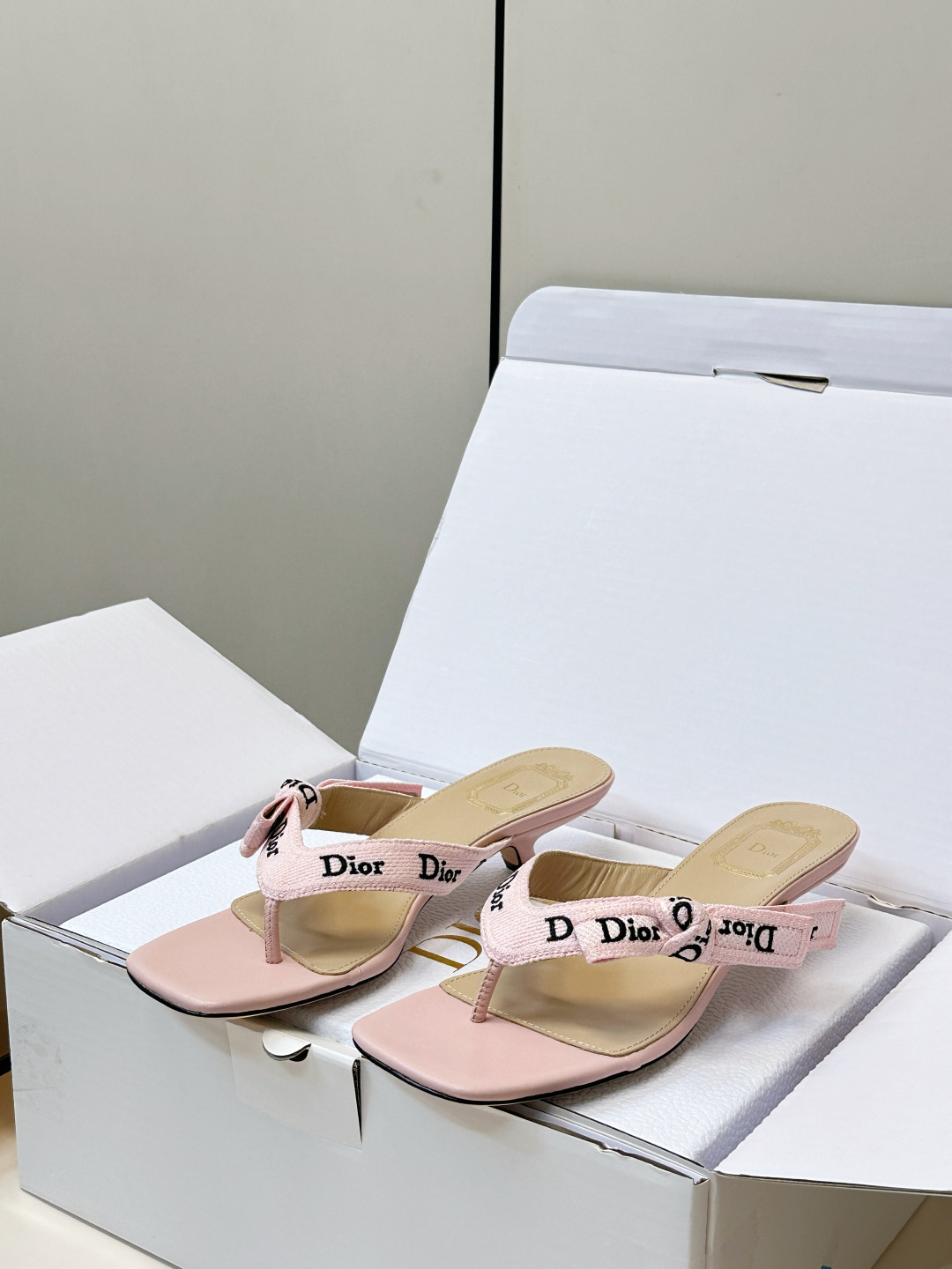 Dior Slides