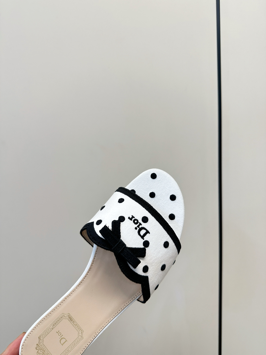 Dior Slides