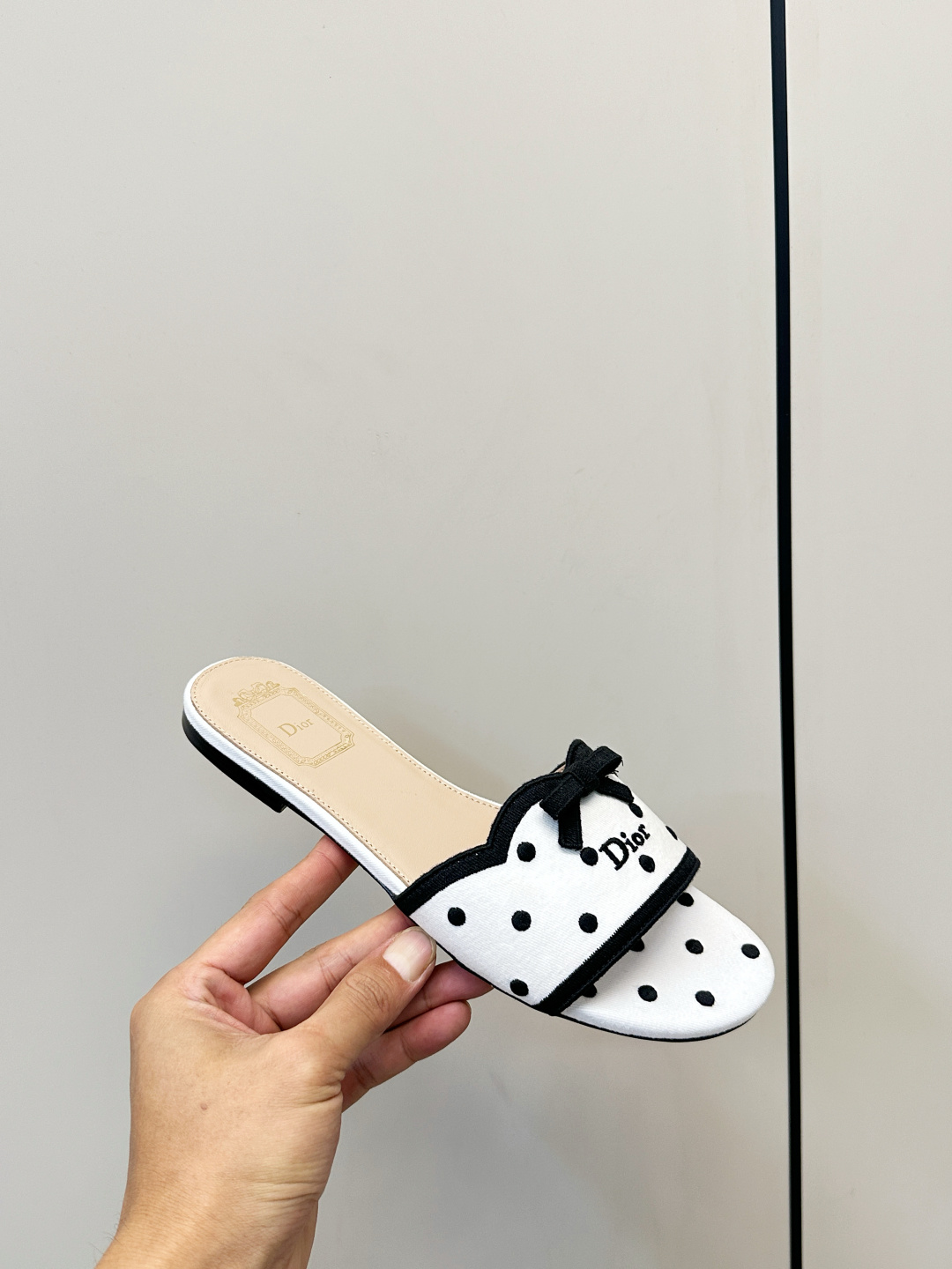 Dior Slides