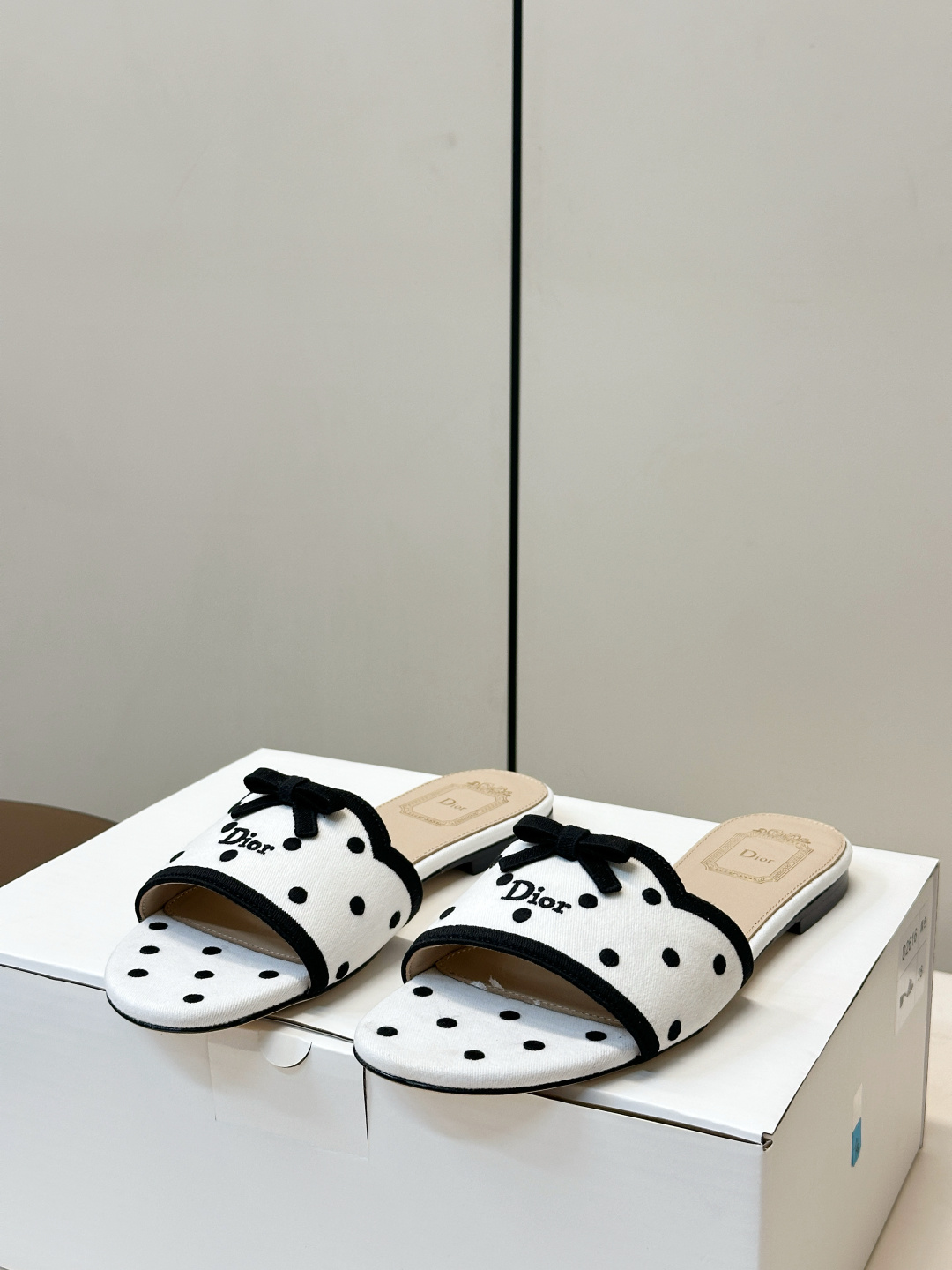 Dior Slides