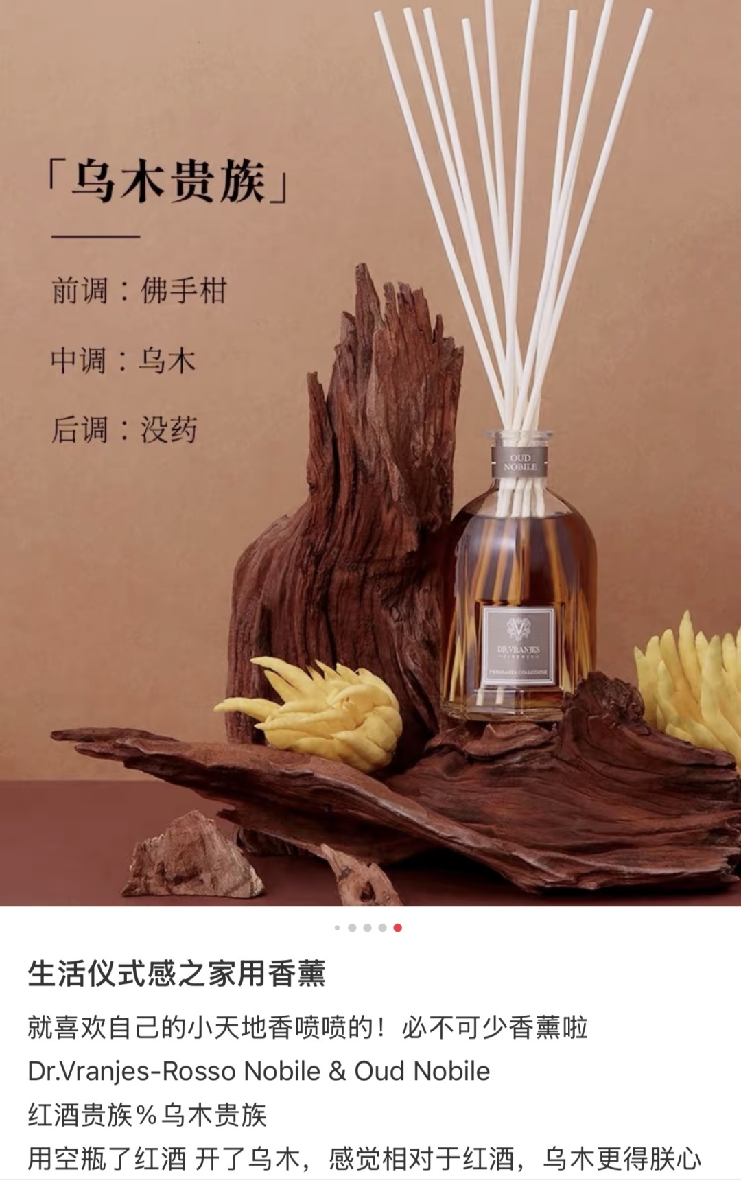 路铂廷 Christian Louboutin 高定典藏名品高定成衣时装外套连衣裙衬衫T恤 #AD7742E6 2