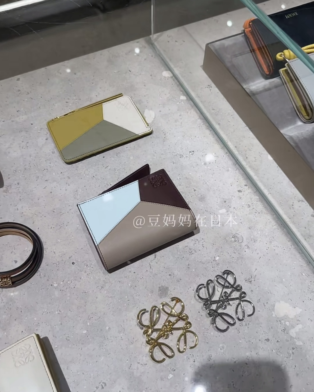 Loewe Luxury Handbag Collection 3