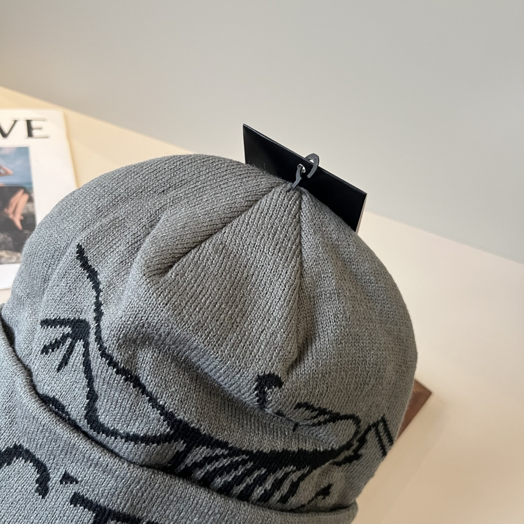 🆕

始祖鸟新款针织毛线帽