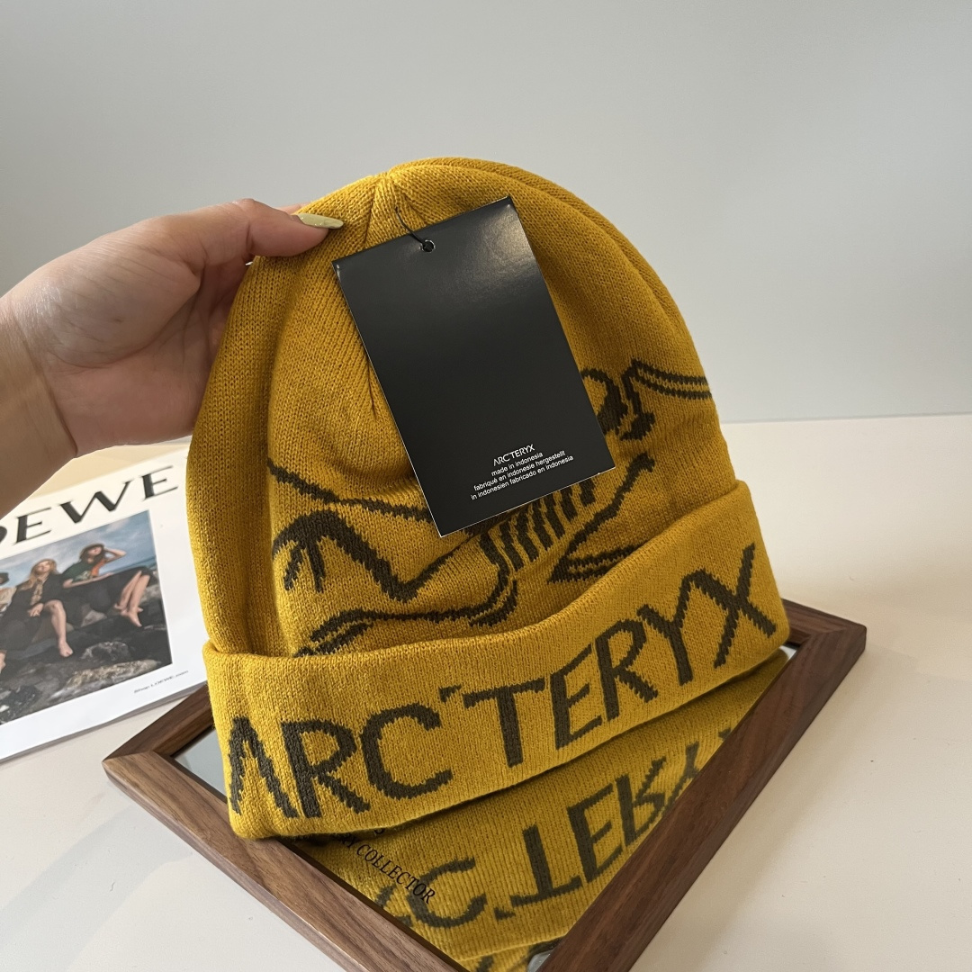 🆕

始祖鸟新款针织毛线帽