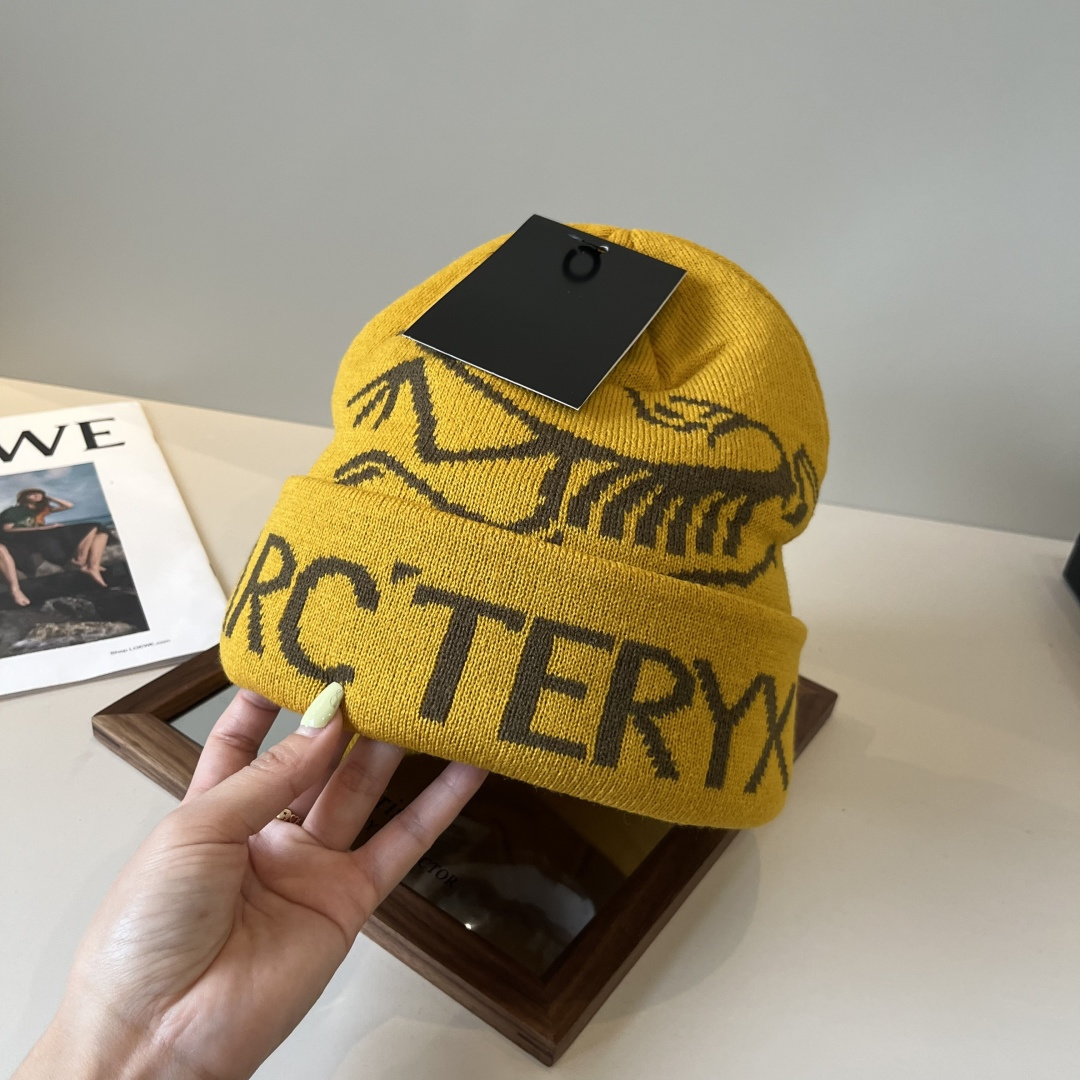 🆕

始祖鸟新款针织毛线帽