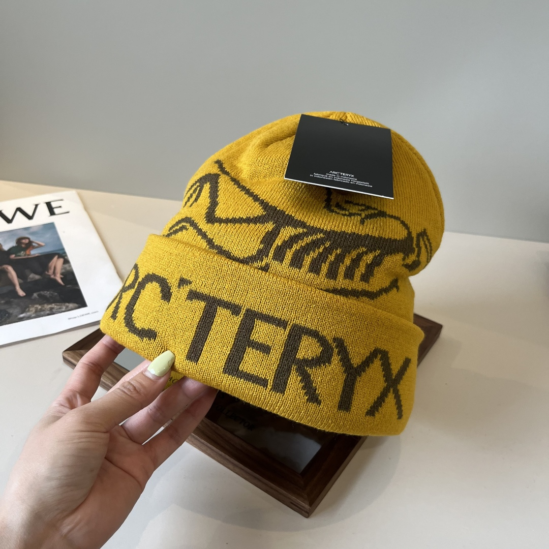 🆕

始祖鸟新款针织毛线帽