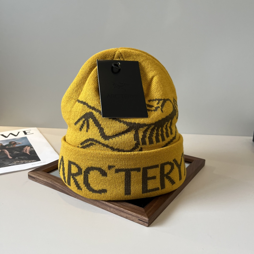 🆕

始祖鸟新款针织毛线帽