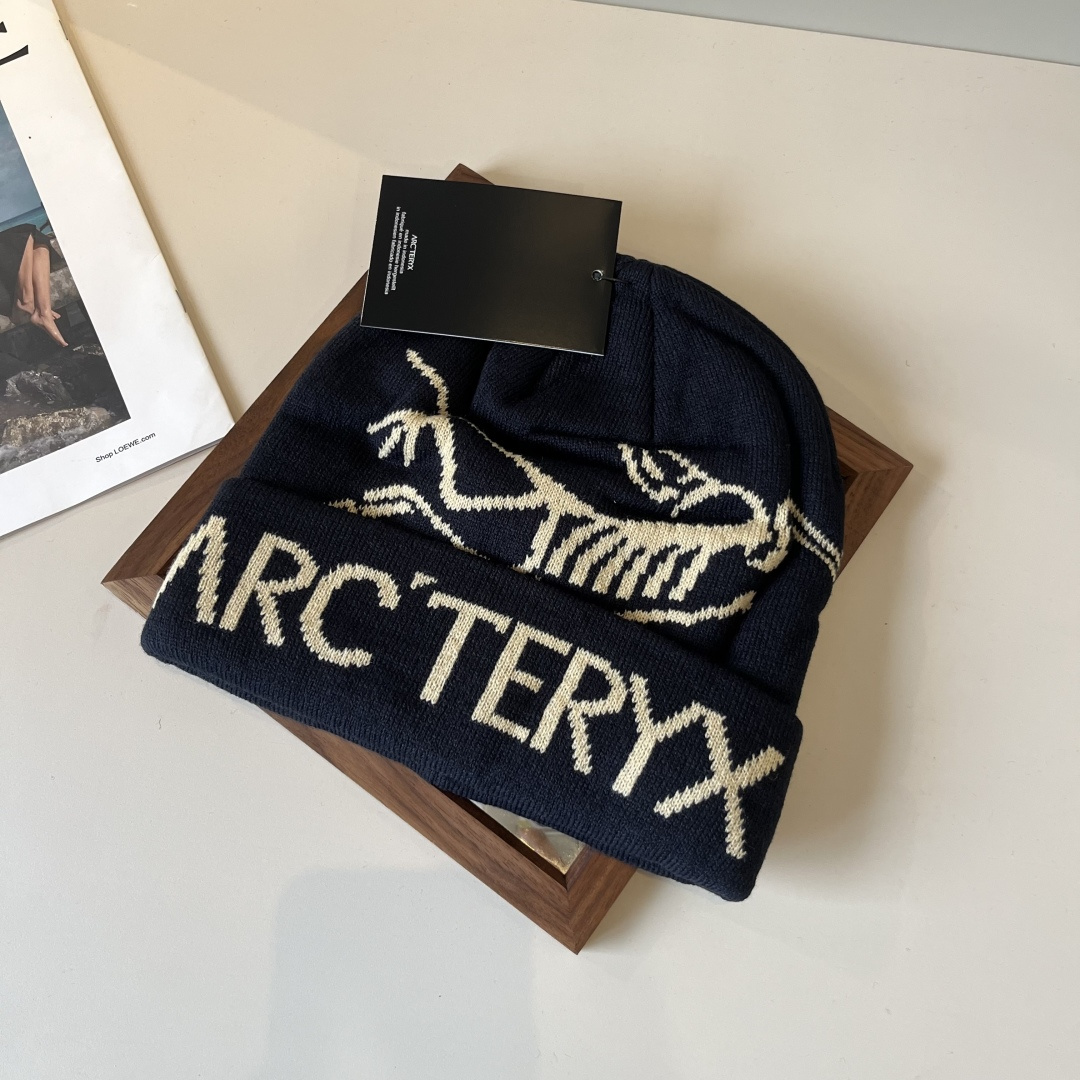 🆕

始祖鸟新款针织毛线帽