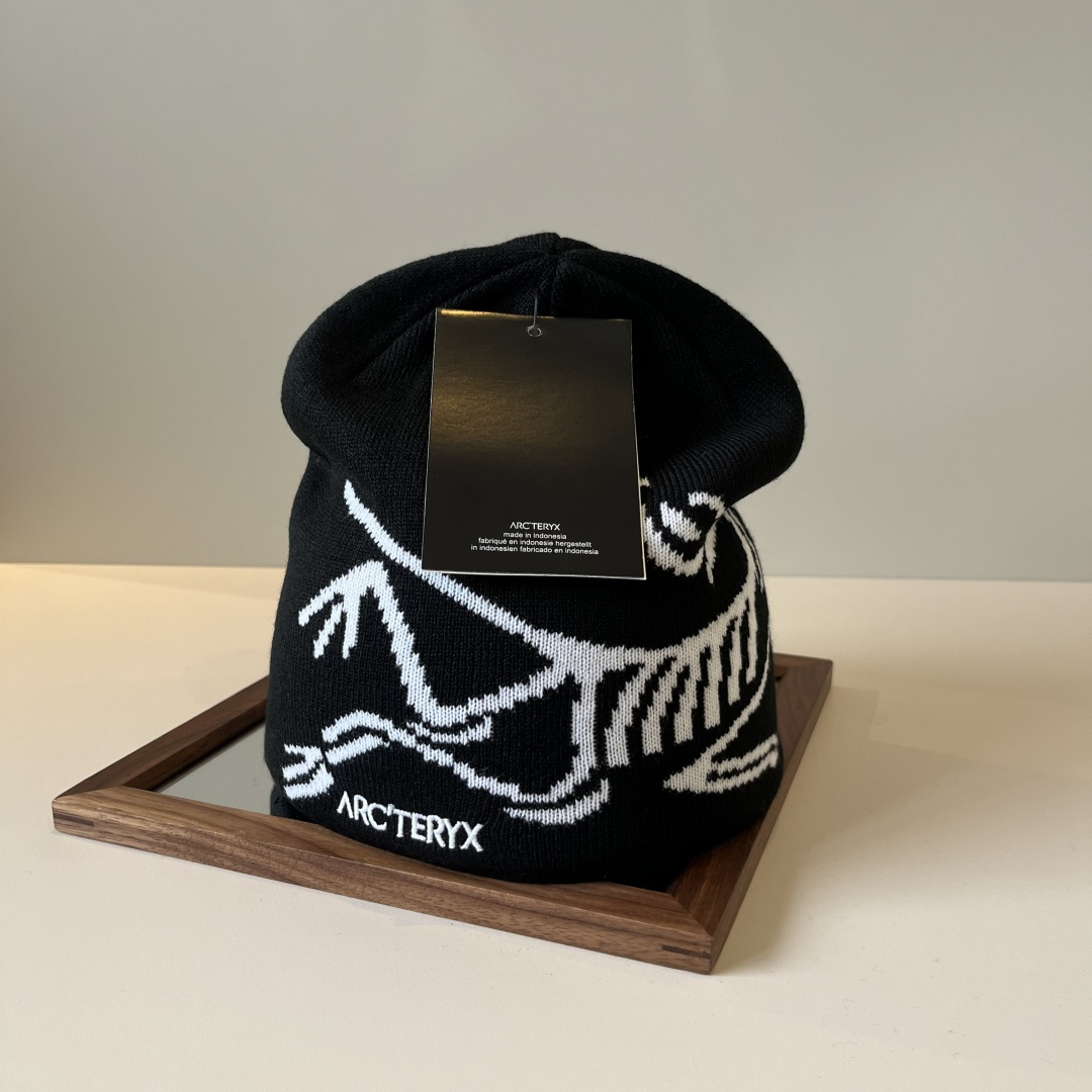 🆕

始祖鸟新款毛线帽
