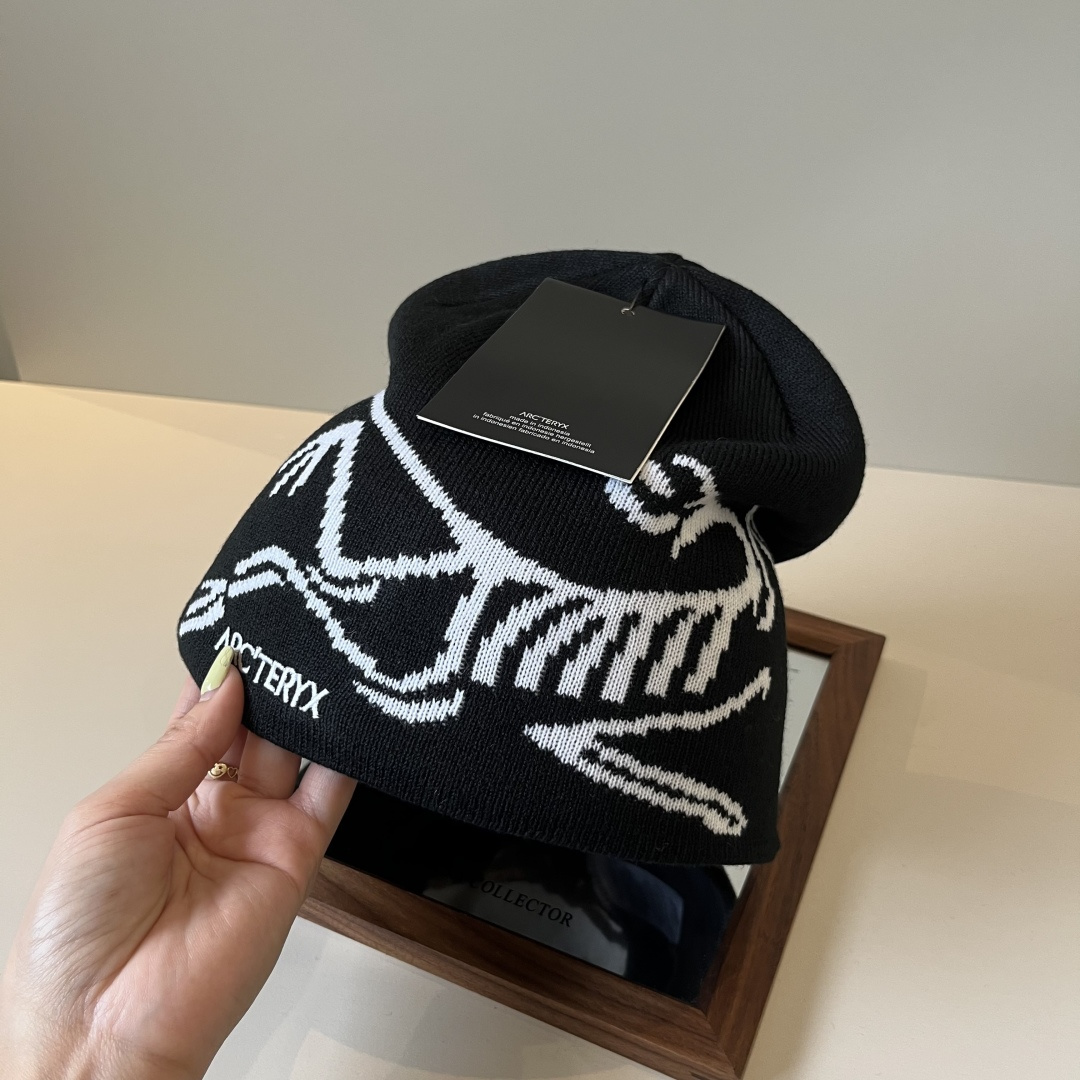 🆕

始祖鸟新款毛线帽
