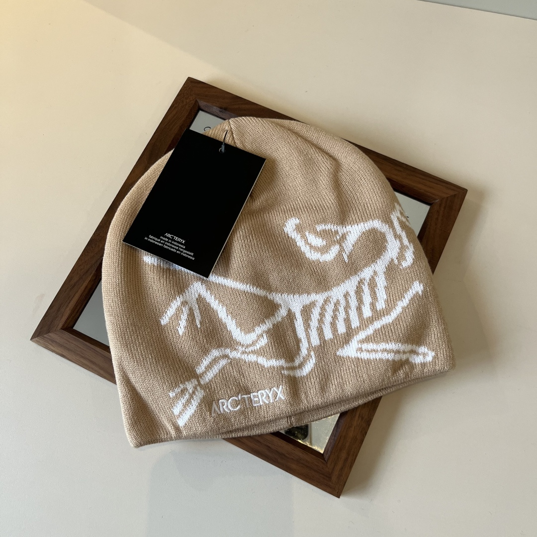 🆕

始祖鸟新款毛线帽
