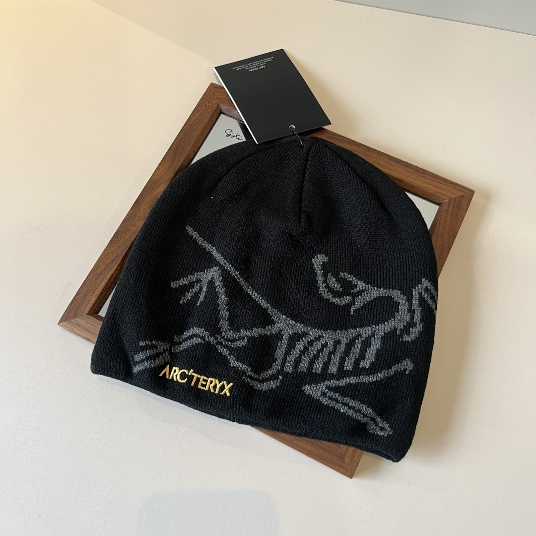 🆕

始祖鸟新款毛线帽
