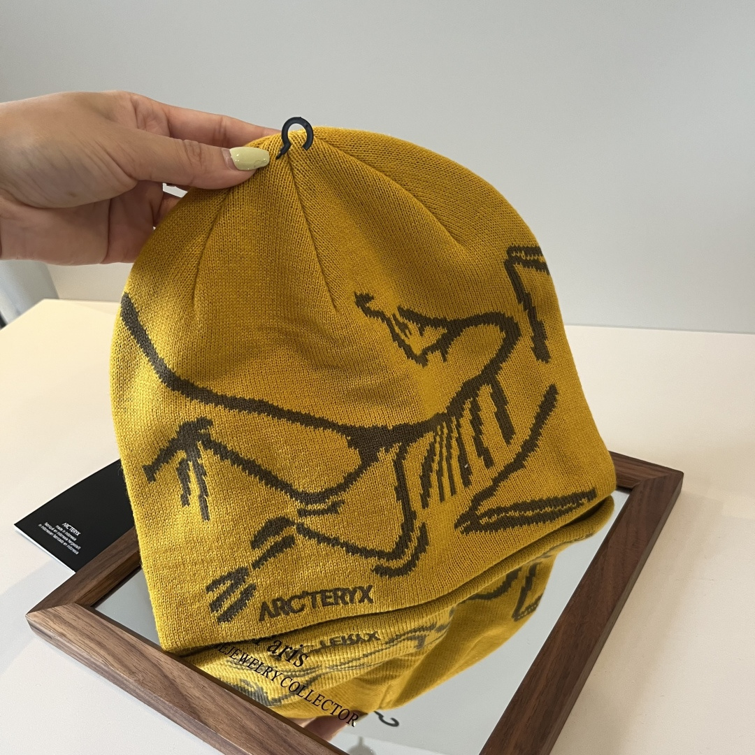 🆕

始祖鸟新款毛线帽
