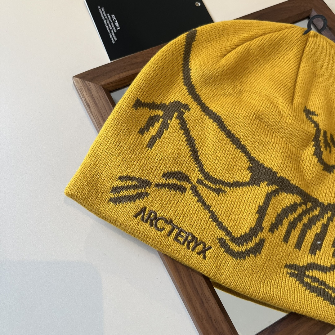 🆕

始祖鸟新款毛线帽
