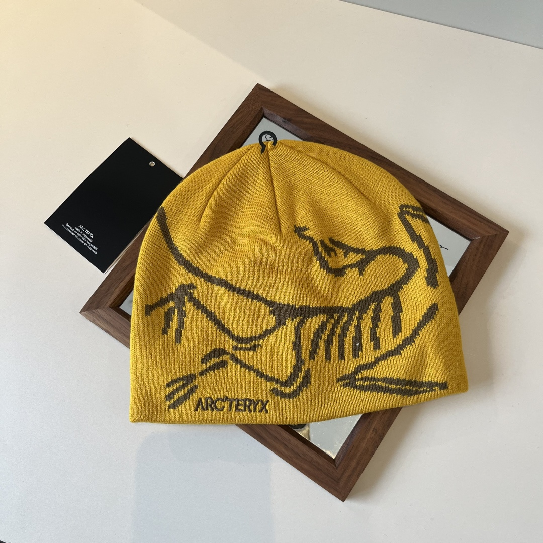 🆕

始祖鸟新款毛线帽
