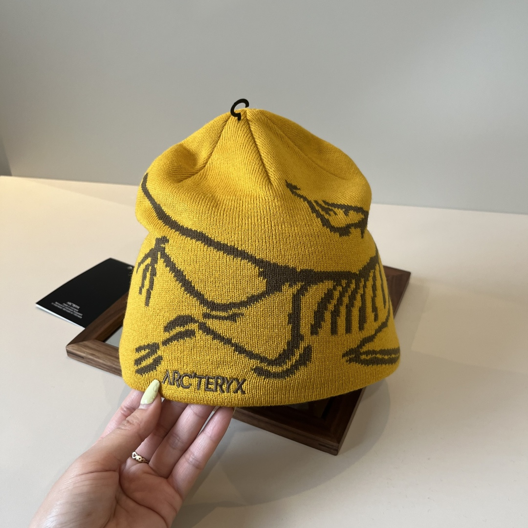 🆕

始祖鸟新款毛线帽
