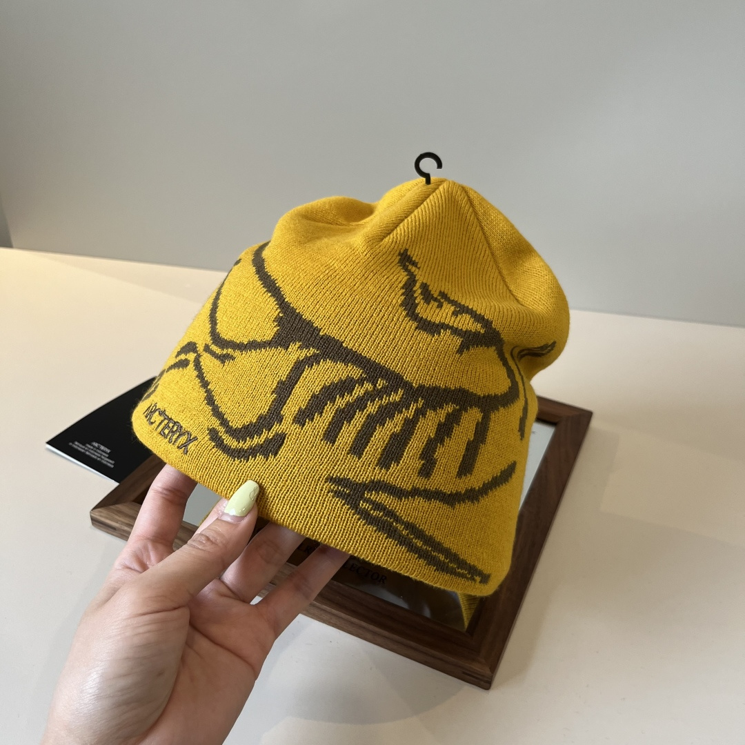 🆕

始祖鸟新款毛线帽
