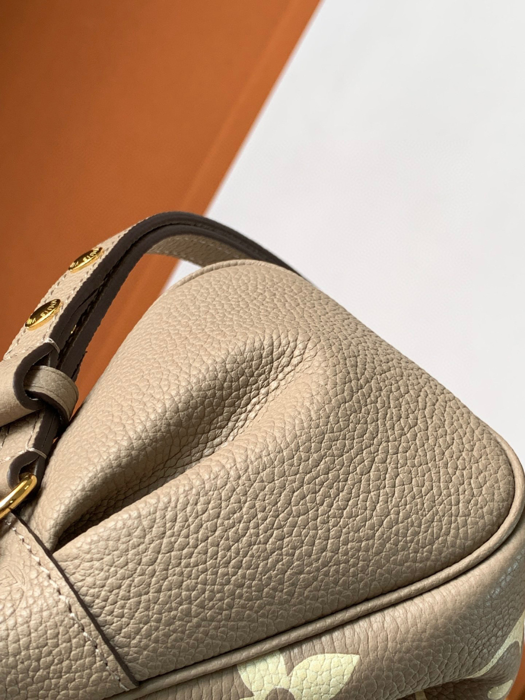 Louis Vuitton Favorite 手袋
