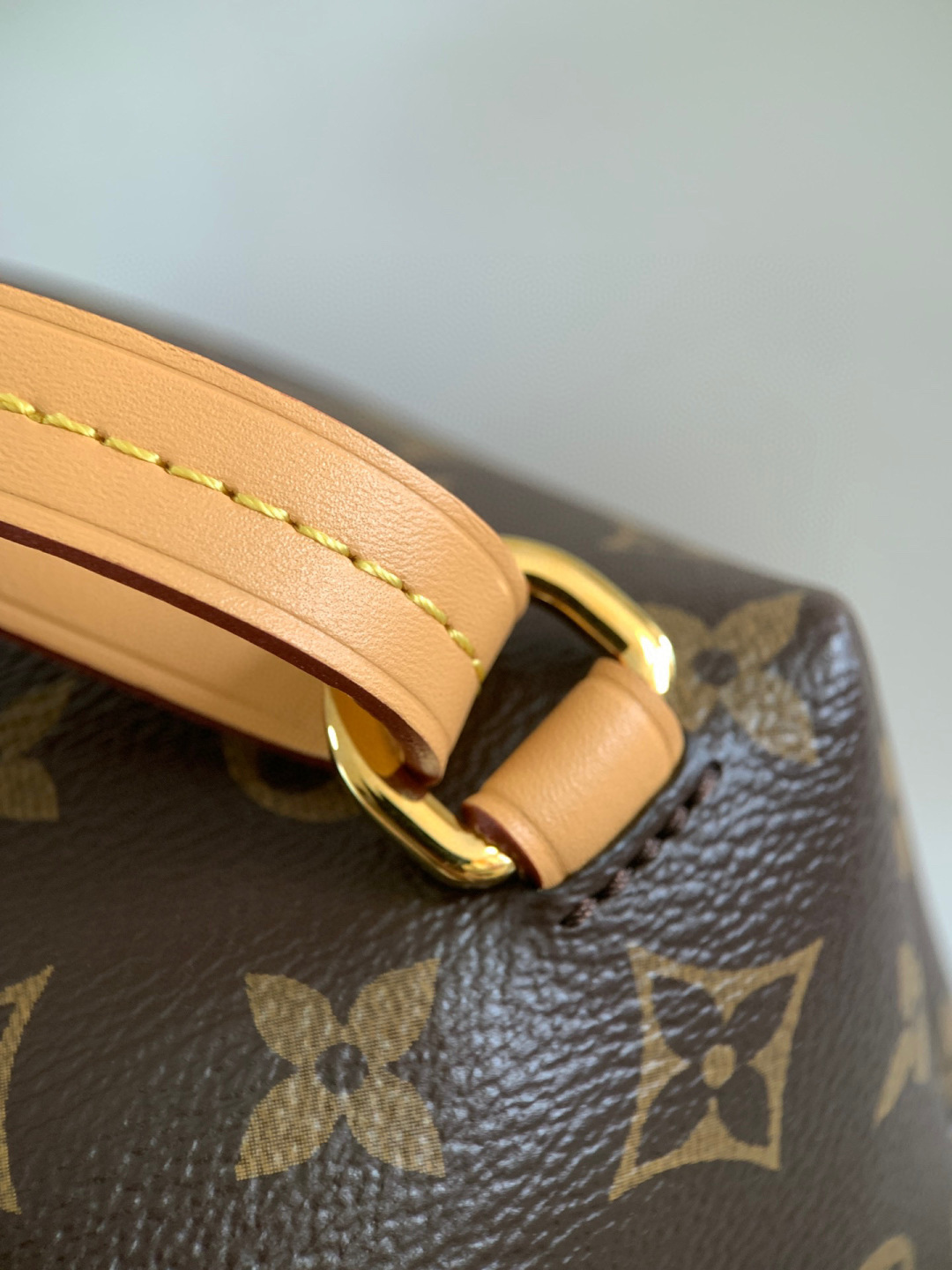 Louis Vuitton Montsouris 小号双肩包