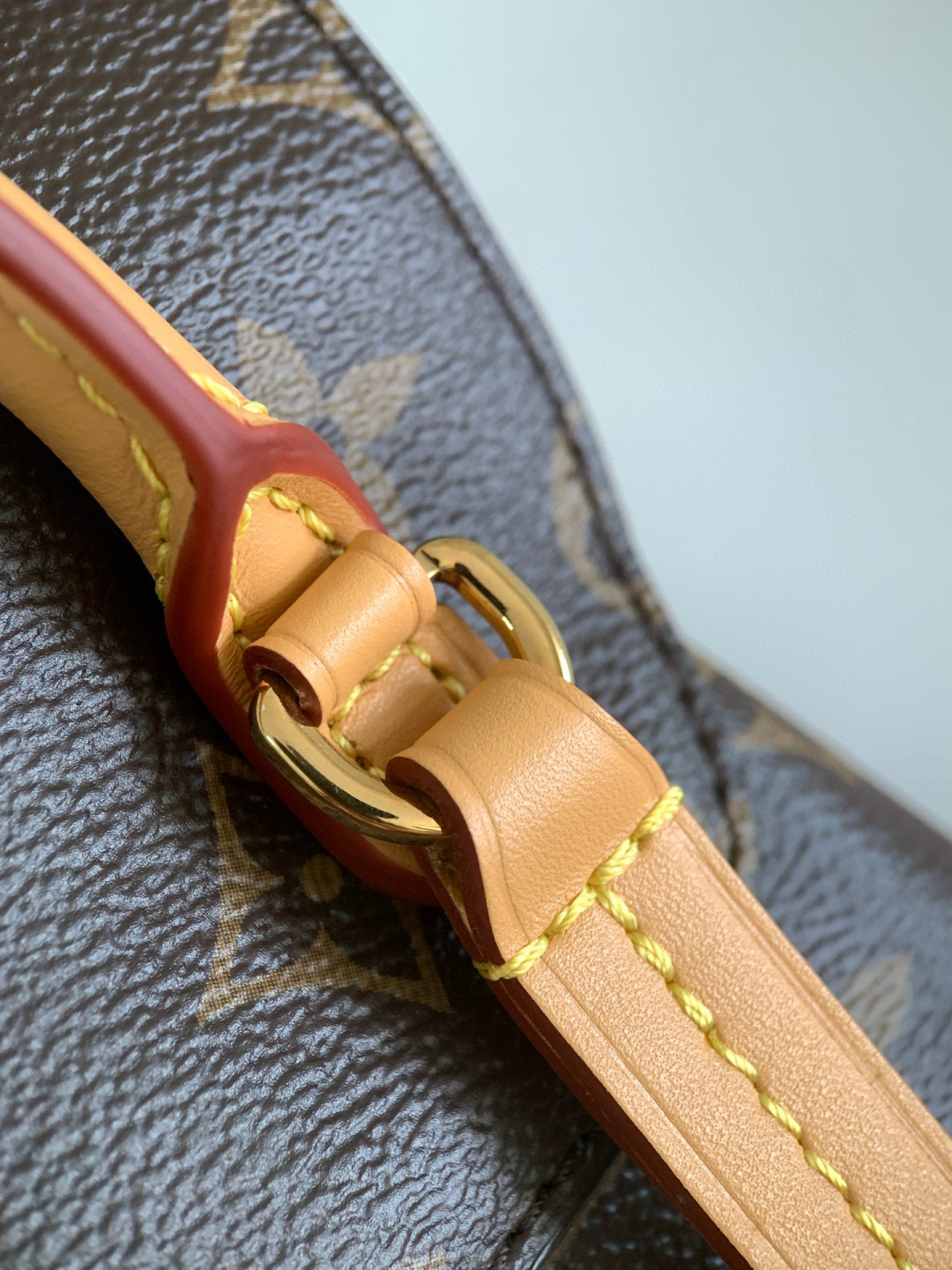 Louis Vuitton Montsouris 小号双肩包