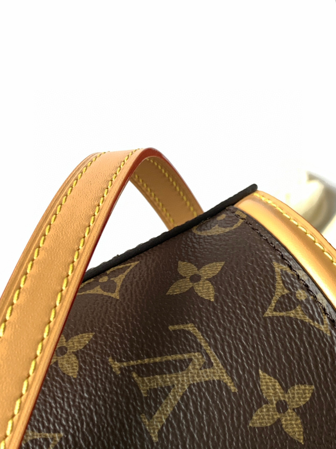 Louis Vuitton Nano Cannes 手袋