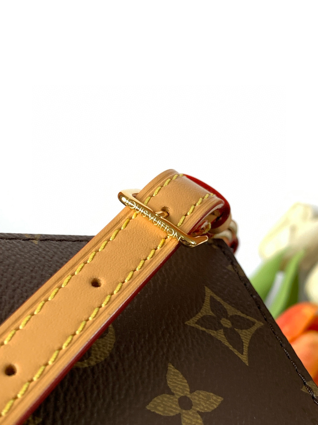 Louis Vuitton Nano Cannes 手袋