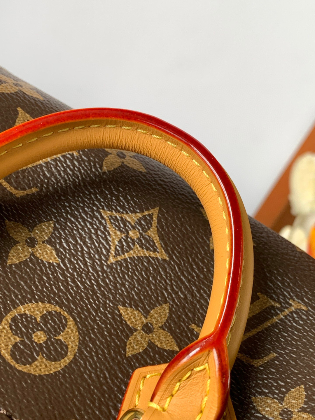 Louis Vuitton Nano Speedy手袋