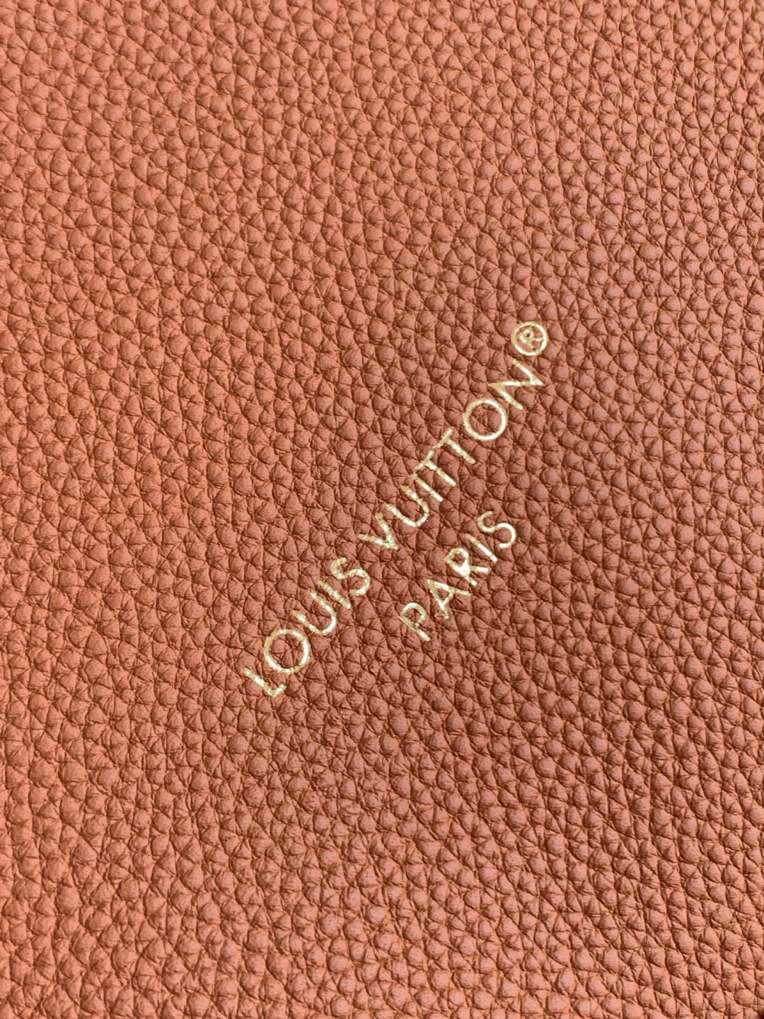 Louis Vuitton 动态变码芯片